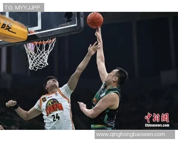 2017至2018赛季广厦与辽宁的精彩对决回顾与分析