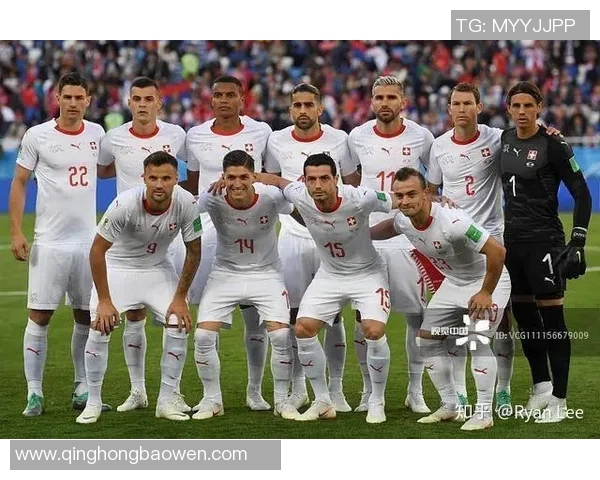 乌克兰与尼日尼亚的激战分析及未来发展展望